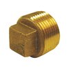 American Imaginations 1 in. x 1 in. Brass Plug AI-35990